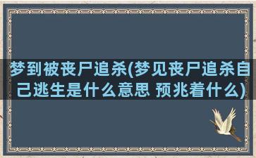 梦到被丧尸追杀(梦见丧尸追杀自己逃生是什么意思 预兆着什么)